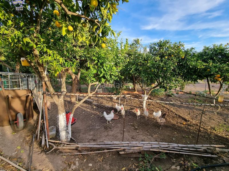 Foto 67f15b12-a930-4a10-b18f-18ec0e335179. Masia a Arcos de la Frontera