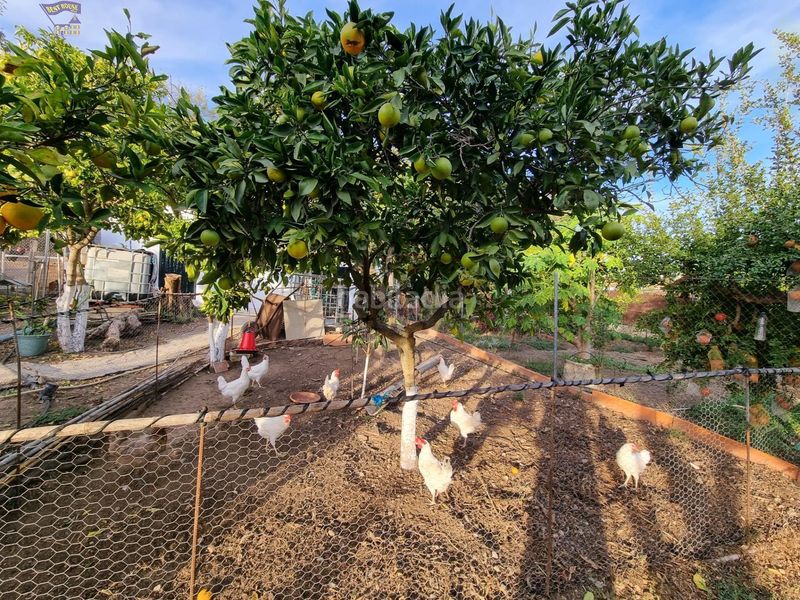 Foto 7a1914aa-baec-4f90-a581-cd442ad37444. Masia a Arcos de la Frontera