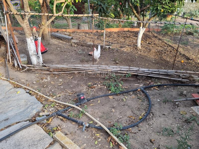 Foto 834481ed-0140-4472-a89c-cb54be3c5b2b. Masia a Arcos de la Frontera