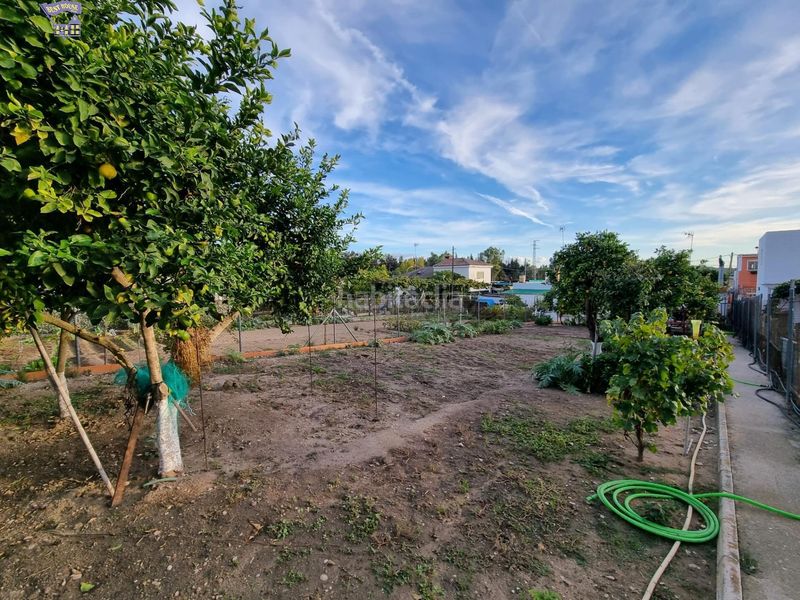 Foto aaad4adf-590a-4625-9741-7a15189b10f4. Masia a Arcos de la Frontera