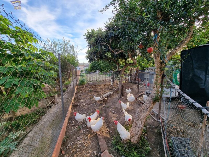 Foto ae7867a5-3ad7-4875-94b5-2a6d7f612c46. Masia a Arcos de la Frontera