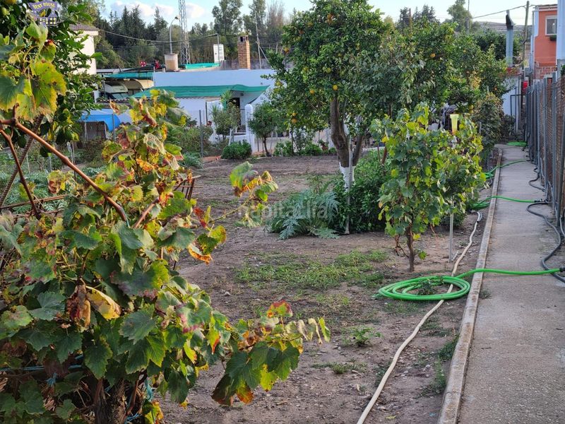 Foto de230eb7-6166-4377-a881-8b17c353d2d0. Masia a Arcos de la Frontera