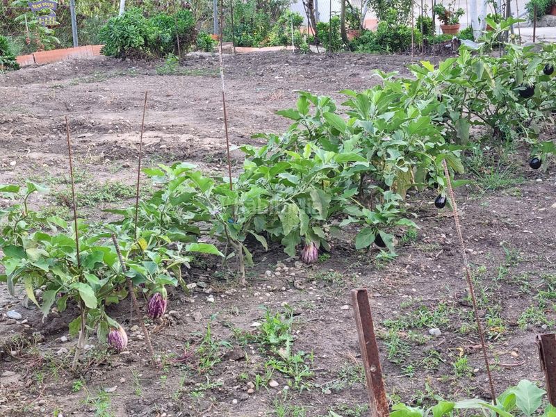 Foto dec0d7fe-3102-419e-b9ed-1eec7af2b5d9. Masia a Arcos de la Frontera