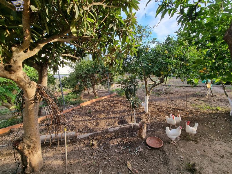 Foto ee81203b-ba00-49bb-a788-d3f02247ecff. Masia a Arcos de la Frontera