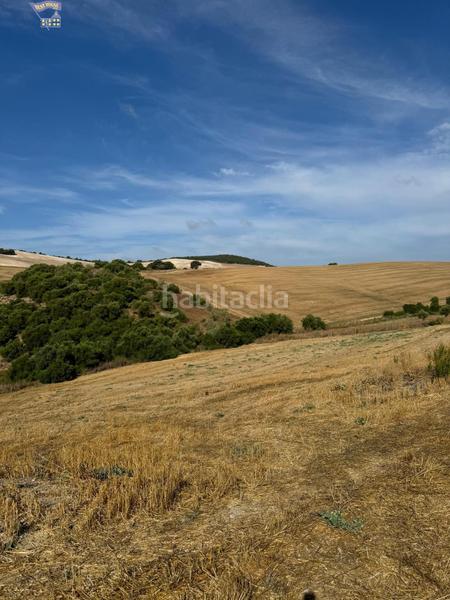 Foto 3c6e1ca7-82ce-4756-923e-41826c5664db. Finca rústica a Arcos de la Frontera