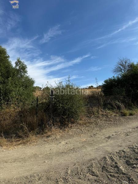 Foto 6bba2057-b754-48b3-9eaf-ee65f417789a. Finca rústica a Arcos de la Frontera