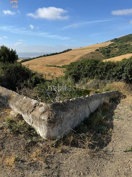 Foto 6e88e5b5-b5f5-44bc-b00e-611f86278769. Finca rústica a Arcos de la Frontera