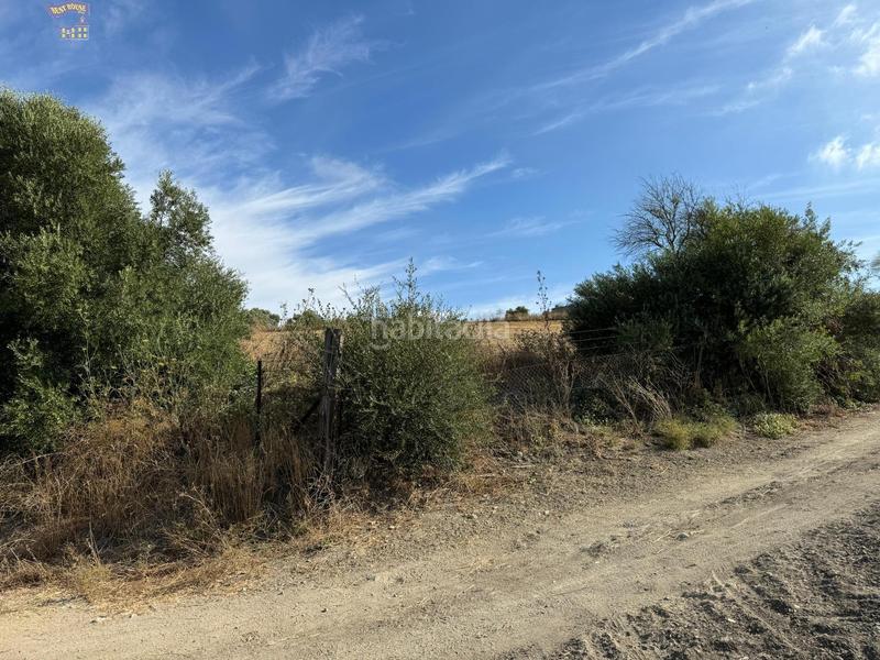 Foto 98bf0309-d0d2-4f37-8dc0-58b3d8fc4256. Finca rústica a Arcos de la Frontera