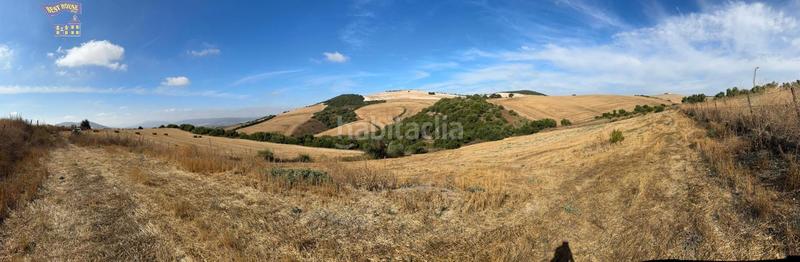 Foto b2cfefa4-6c5f-4bad-a304-cc6aecf11854. Finca rústica a Arcos de la Frontera