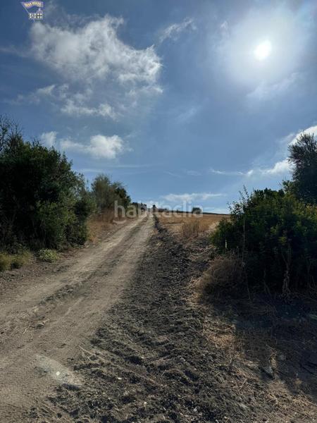 Foto bc2b92f2-b5e3-400e-bac3-e90d61cfe7b8. Finca rústica a Arcos de la Frontera