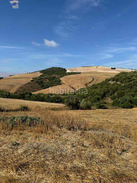 Foto c0c5ecd1-dfdb-4786-9954-c14518a0fe55. Finca rústica a Arcos de la Frontera
