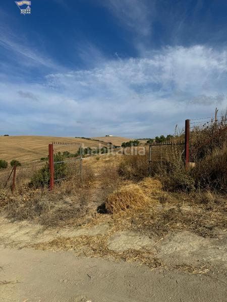 Foto d5864232-8bf5-4976-9c0d-58dce095d0ff. Finca rústica a Arcos de la Frontera