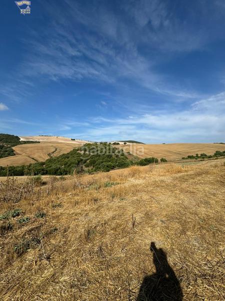 Foto d6413e8c-0670-4cfa-8dd0-432a74496957. Finca rústica a Arcos de la Frontera