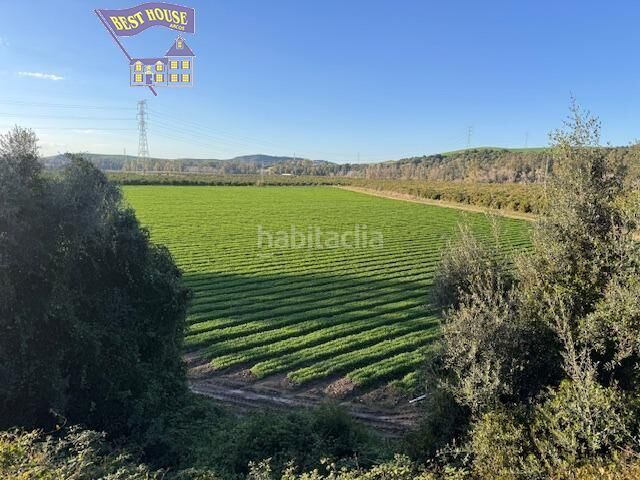 Foto 2f574755-6bd6-41f7-a489-a81b76ed3750. Finca rústica a Arcos de la Frontera