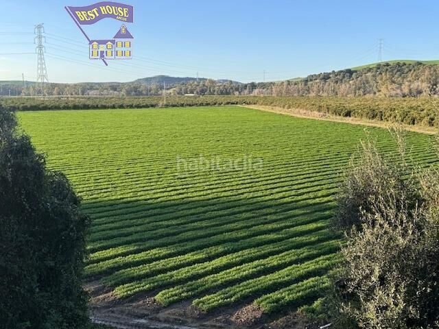 Foto 4503a769-4944-478d-90b7-ba75669c2e9d. Finca rústica a Arcos de la Frontera