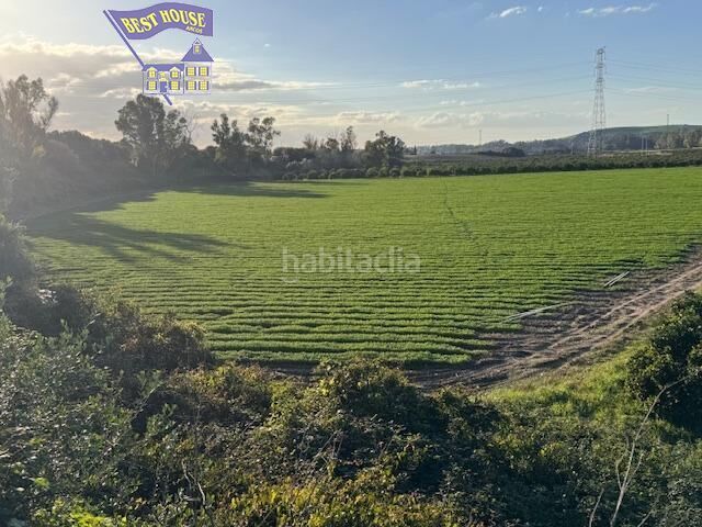 Foto 6a287fea-0ca0-4299-9a07-b063e33c0b9c. Finca rústica a Arcos de la Frontera