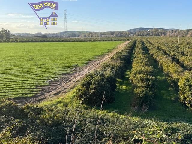 Foto 7b7bf826-f5c7-4e4c-9ee1-c9f57e0e1c49. Finca rústica a Arcos de la Frontera