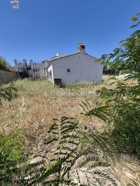 Foto 4f5a3721-e50f-4869-bce7-fdfc25602a92. Xalet amb piscina a Arcos de la Frontera