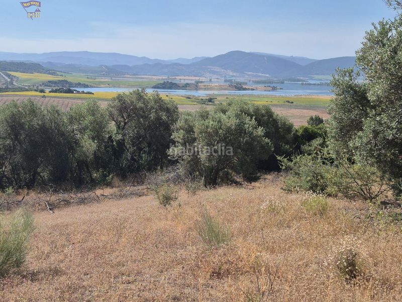 Foto 110800a5-7878-4c31-a8e9-52d65002d2a6. Masia a Arcos de la Frontera