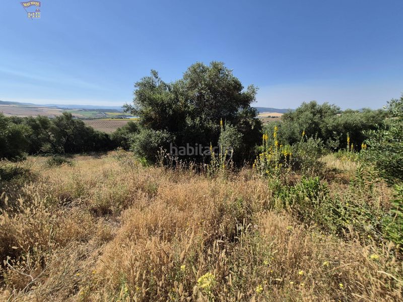 Foto 54d4f2e0-9a81-45c4-ba67-dd84fa4d85d3. Masia a Arcos de la Frontera