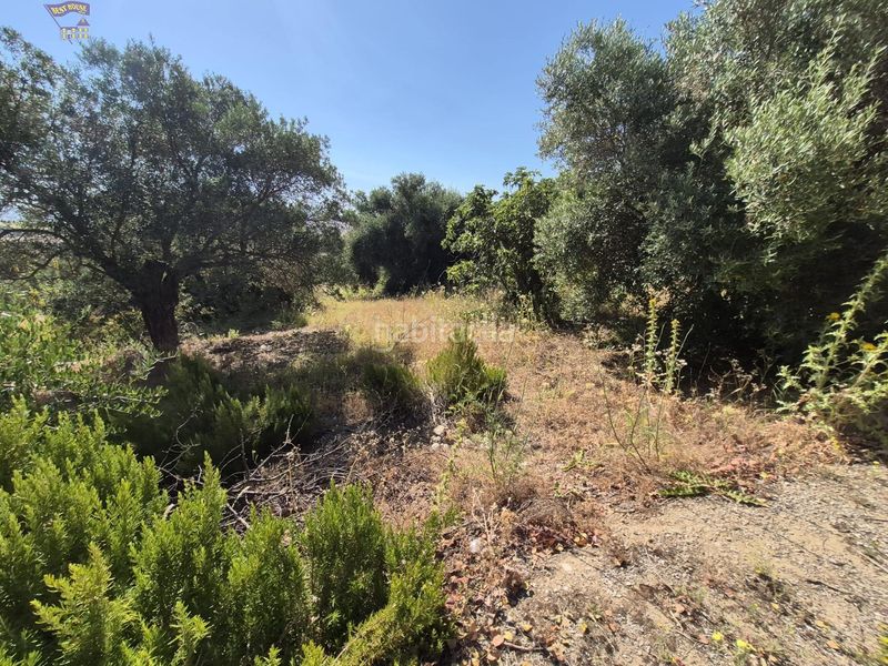 Foto 7f746eb0-3b86-4535-94a6-fe0420e8a635. Masia a Arcos de la Frontera