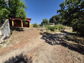 Bauernhof in Arcos de la Frontera. Se vende finca rústica en zona carretera arcosalgar