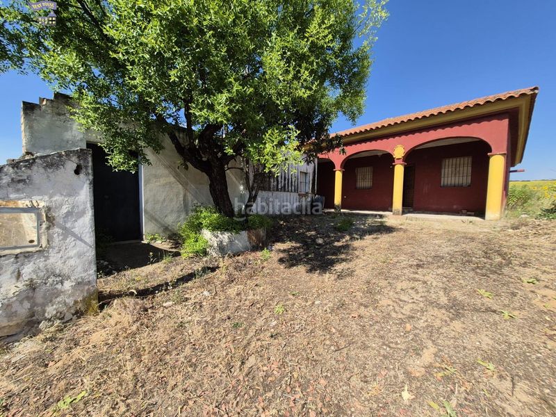 Foto e436e654-aa27-409b-a43b-e2e400d747e9. Masia a Arcos de la Frontera