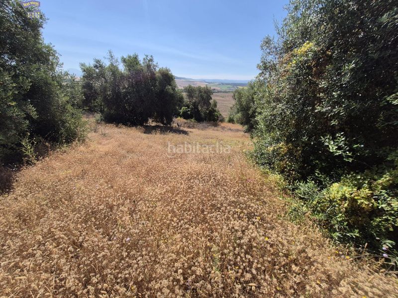 Foto f5dbda8c-873a-4dbb-b5f7-731bde370276. Masia a Arcos de la Frontera