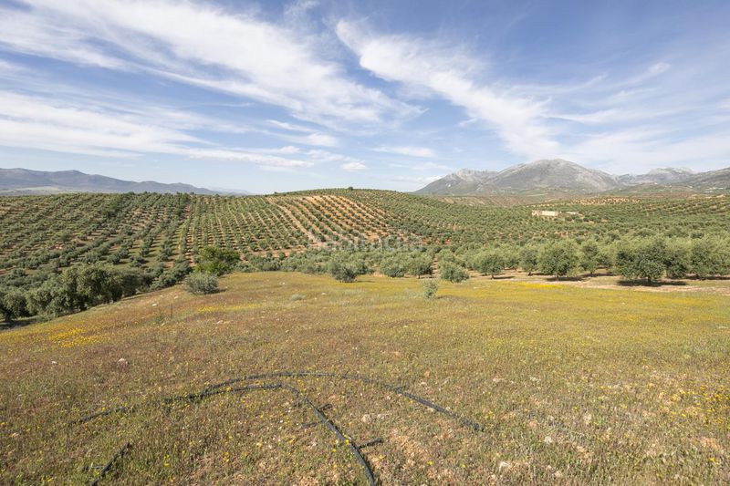Foto 81e417df-d9e6-403d-8cad-3609a9f5bc6d. Finca rústica a Güevéjar