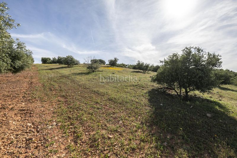 Foto 94b6c9f2-e22c-4df8-ab17-65a99285c8c0. Finca rústica a Güevéjar