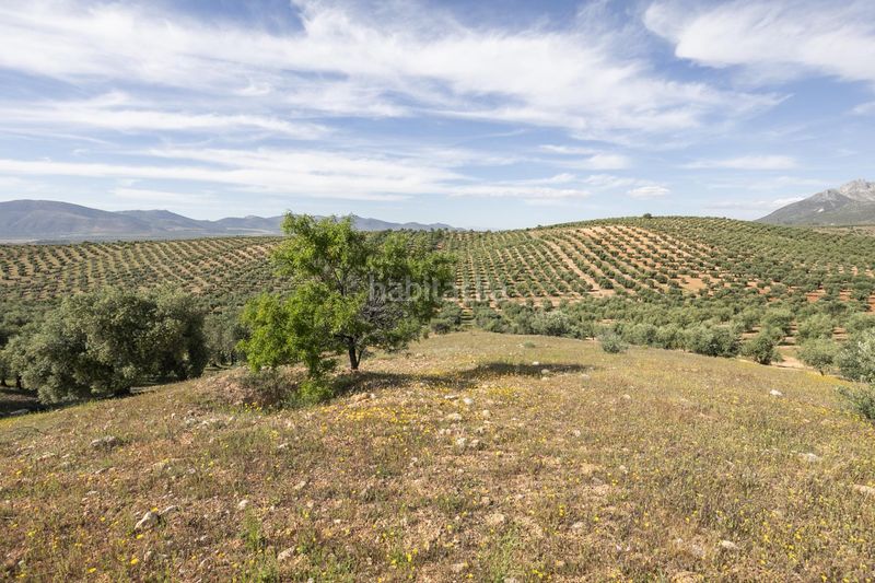 Foto c00e8279-c03f-4f80-aa36-599458e23171. Finca rústica a Güevéjar
