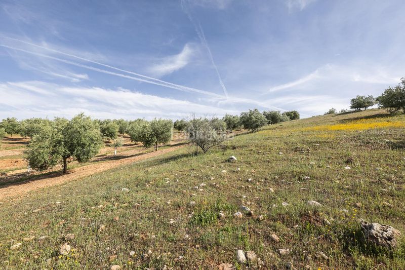 Foto e2bc816b-25d6-4679-8c93-4d7f72a35f2c. Finca rústica a Güevéjar