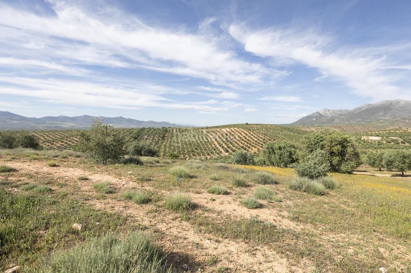 Foto eed4fcd8-0165-47e7-b97c-60117f20de3b. Finca rústica a Güevéjar
