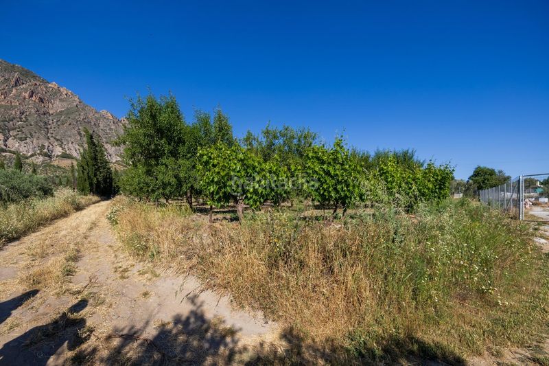 Foto b94f8665-ab85-4959-83f8-209e2c8c4fec. Finca rústica a Dúrcal