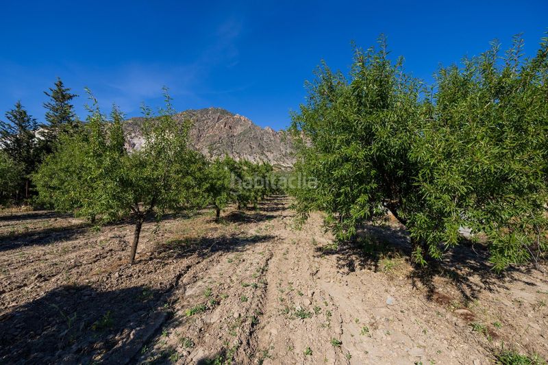 Foto dca76a82-bdbc-440b-93ef-9fa7fe3e3aae. Finca rústica a Dúrcal