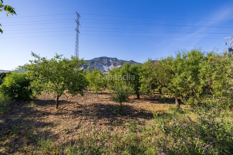 Foto dd3297e5-9024-433b-8c61-6261670309a3. Finca rústica a Dúrcal