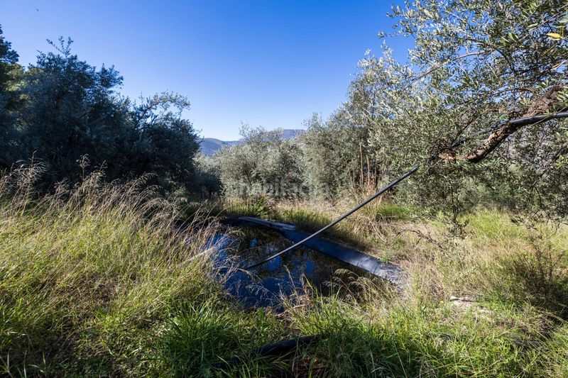 Foto 0d66380a-d671-4f4e-989f-f97708338f25. Finca rústica a Lanjarón