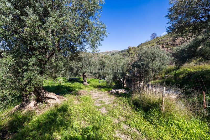 Foto 39a6e0eb-c7d0-4928-8915-a133684d2442. Finca rústica a Lanjarón