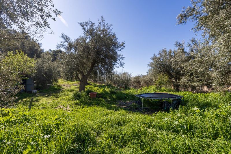 Foto 433895ee-e671-4b72-ad37-746a7c1727bd. Finca rústica a Lanjarón