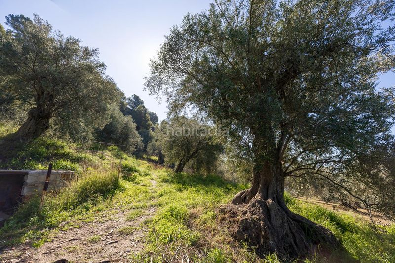 Foto 764f0a0c-7a1a-432e-b584-1c1184a977f8. Finca rústica a Lanjarón