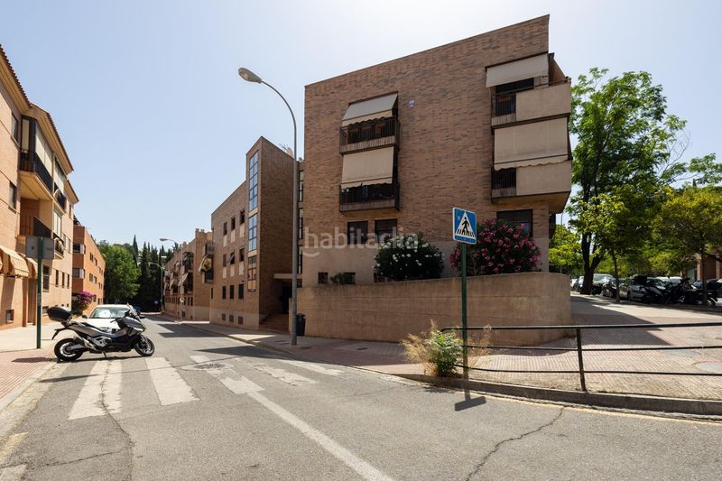 Foto f478eaf9-8ee4-4bb1-9f84-0199d9bf4157. Pis a Camino de los Neveros - Serrallo Granada