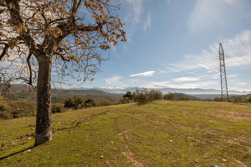 Foto 29fb85ee-2f57-4b89-bd4a-f24fa04bad2b. Masia a Fargue Granada