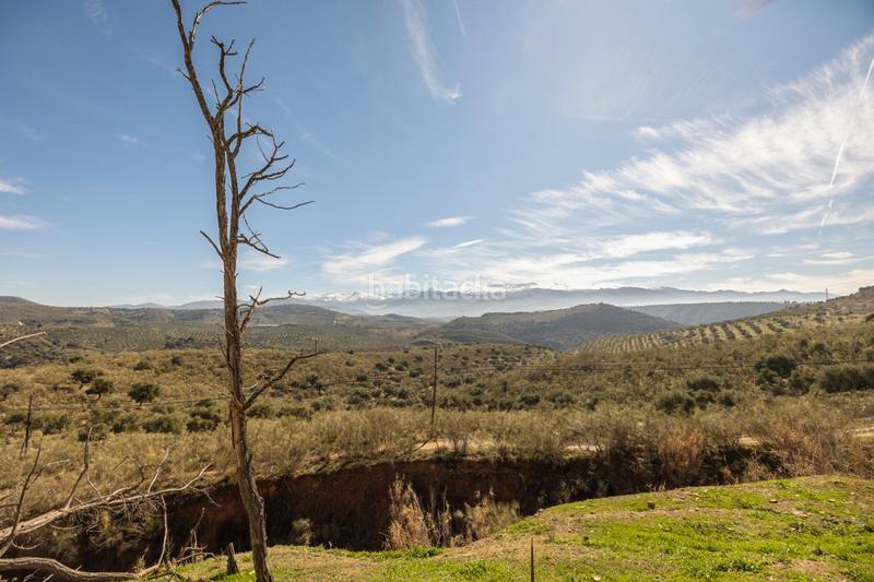 Foto 62e8ea22-3333-4313-856a-81b47c0373f7. Masia a Fargue Granada