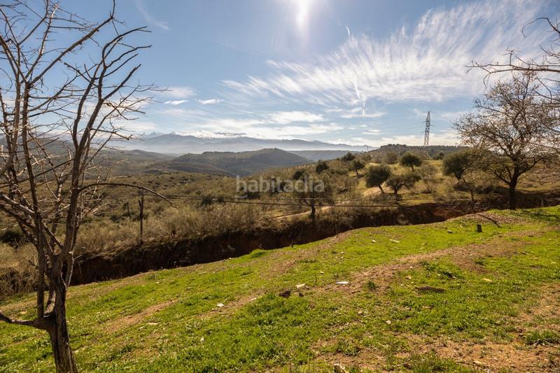 Foto de45a8b3-271c-4c67-9cd8-764c29805f54. Masia a Fargue Granada