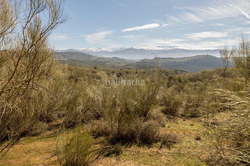 Foto e214e5a3-b87e-433d-9c4b-a715ba07c793. Masia a Fargue Granada