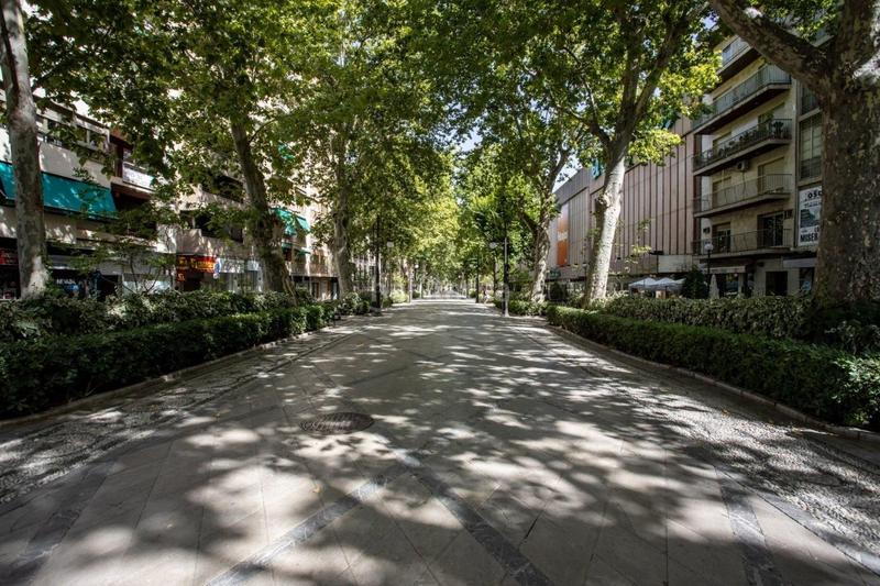 Foto c354fab9-1d82-4c7f-8e4b-9e99bfcffc13. Locale commerciale in San Matías - Realejo Granada