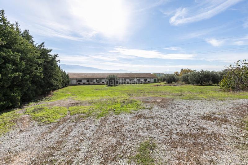 Foto 2f489656-90fa-4dc5-9ac2-56a364e9e2ae. Wohngrundstück in Atarfe