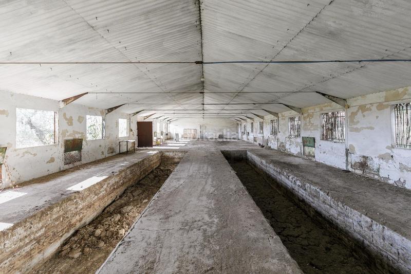 Foto 5b886758-2195-4540-8990-d1d190b22c28. Wohngrundstück in Atarfe