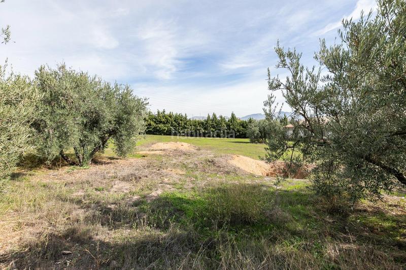 Foto de722b0d-d2f9-4ada-9a1f-3358b87e45ae. Wohngrundstück in Atarfe