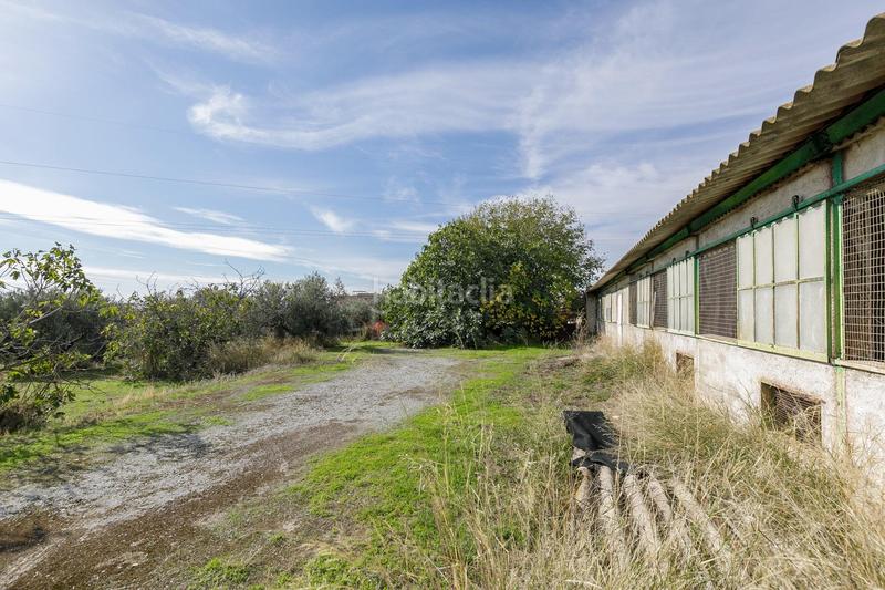 Foto f64f4797-cce7-47f3-9e47-0c808106aaa0. Wohngrundstück in Atarfe